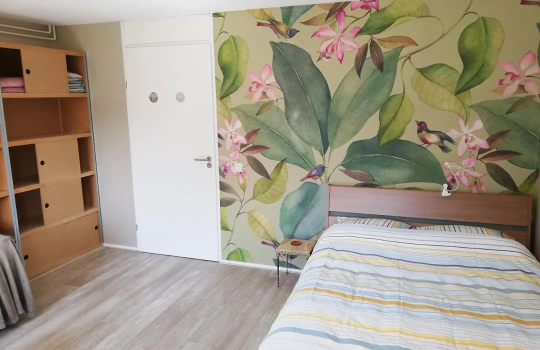 Homestay Utrecht-1